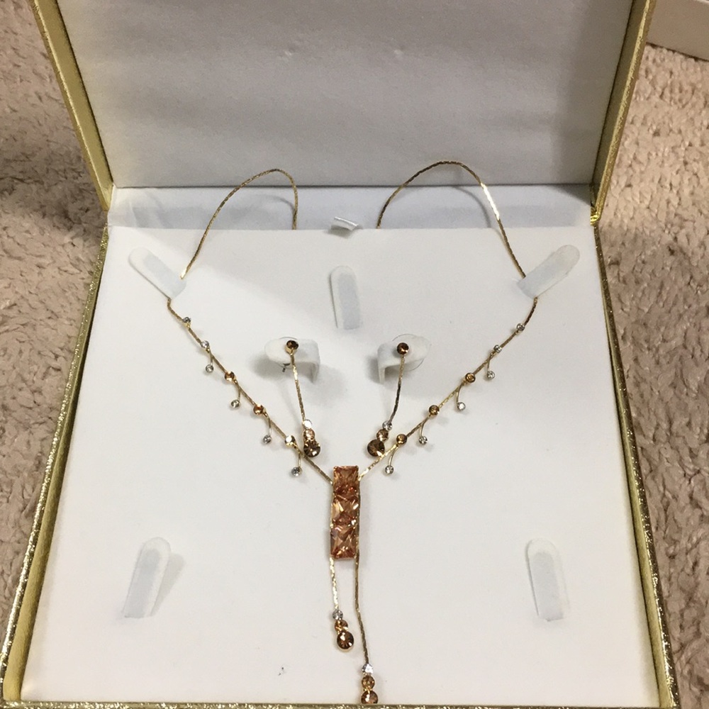 N•E•W Beautiful earrings and necklace set.